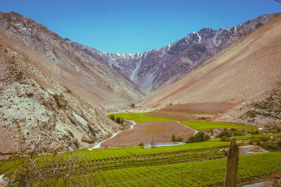 Green vineyard rows across a narrow valley enclosed by steep, dry mountains at Alcohuaz